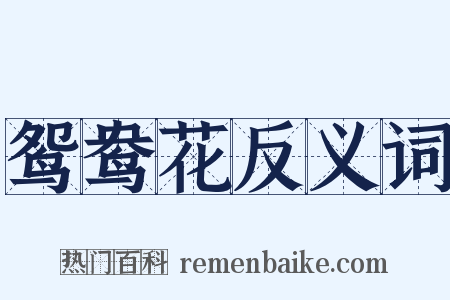 鸳鸯花反义词是什么意思的图片